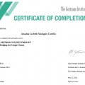 Ampliar imagen: certificate 4