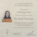 Ampliar imagen: certificate 1