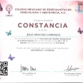 Ampliar imagen: certificate 14