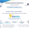 Ampliar imagen: certificate 9