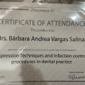 Ampliar imagen: certificate 5