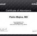 Ampliar imagen: certificate 6