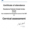 Ampliar imagen: certificate 13