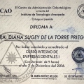 Ampliar imagen: certificate 2