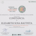 Ampliar imagen: certificate 5