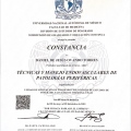 Ampliar imagen: certificate 3