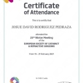 Ampliar imagen: certificate 11