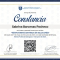 Ampliar imagen: certificate 7