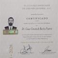Ampliar imagen: certificate 5