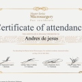 Ampliar imagen: certificate 7