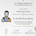 Ampliar imagen: certificate 1