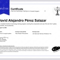 Ampliar imagen: certificate 10