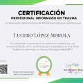 Ampliar imagen: certificate 5