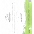 Ampliar imagen: certificate 1