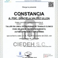 Ampliar imagen: certificate 11