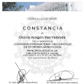Ampliar imagen: certificate 11