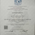 Ampliar imagen: certificate 4
