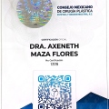 Ampliar imagen: certificate 6