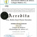 Ampliar imagen: certificate 3