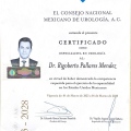 Ampliar imagen: certificate 5