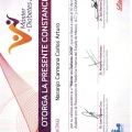 Ampliar imagen: certificate 10