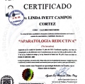 Ampliar imagen: certificate 15