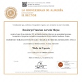 Ampliar imagen: certificate 3