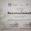 Ampliar imagen: certificate 11
