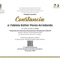 Ampliar imagen: certificate 1