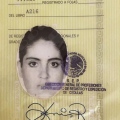 Ampliar imagen: certificate 3