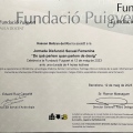 Ampliar imagen: certificate 8
