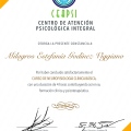 Ampliar imagen: certificate 7