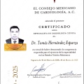 Ampliar imagen: certificate 4