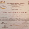 Ampliar imagen: certificate 9