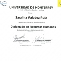Ampliar imagen: certificate 6