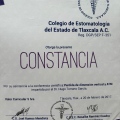 Ampliar imagen: certificate 8