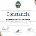 Ampliar imagen: certificate 17