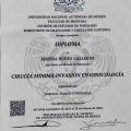 Ampliar imagen: certificate 5