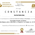 Ampliar imagen: certificate 14