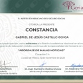 Ampliar imagen: certificate 33