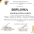 Ampliar imagen: certificate 7