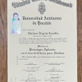Ampliar imagen: certificate 4