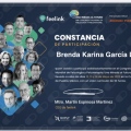 Ampliar imagen: certificate 3