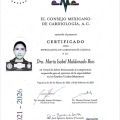 Ampliar imagen: certificate 1