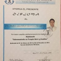 Ampliar imagen: certificate 14