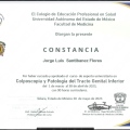 Ampliar imagen: certificate 7