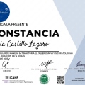 Ampliar imagen: certificate 4