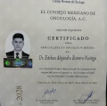Ampliar imagen: certificate 1