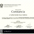 Ampliar imagen: certificate 10