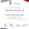 Ampliar imagen: certificate 6
